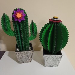 Cactus in legno pianta decorativa sempreverde