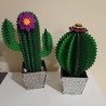 Cactus in legno pianta decorativa sempreverde