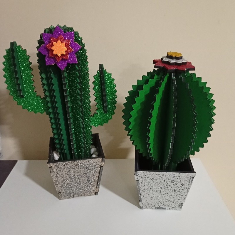 Pianta grassa in legno decorativa sempreverde