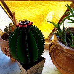 Pianta grassa in legno decorativa sempreverde